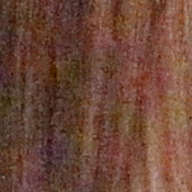 Canon EOS-1D Mark IV Imaging image 29