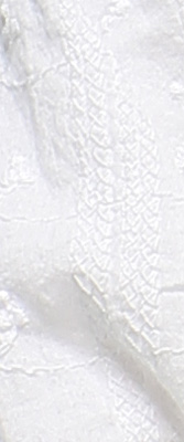 Canon EOS-1D Mark IV Imaging image 40