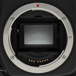 Canon EOS-1D Mark IV Optics image 1