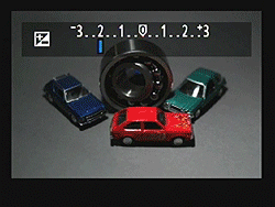 Canon EOS-1D Mark IV Live View image 7