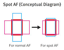 Canon EOS-1D Mark IV Optics image 4