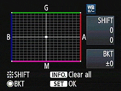 Canon EOS-1D Mark IV Exposure image 7