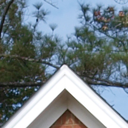 Despite slight evidence of edge enhancement, images from the E-3 are a little soft overall.