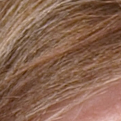 ISO 200