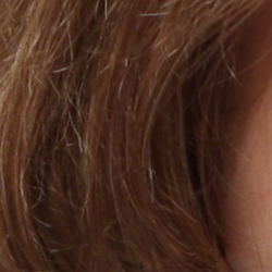 Subtle detail: Hair Noise suppression tends to blur detail in areas of subtle contrast, as in