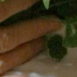 40D Overview image 26
