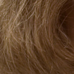 Subtle detail: Hair Noise suppression tends to blur detail in areas of subtle contrast, as in
