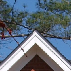 Despite evidence of edge enhancement, images from the E-420 have a hint of softness overall.