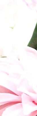 E-420 Exposure image 39