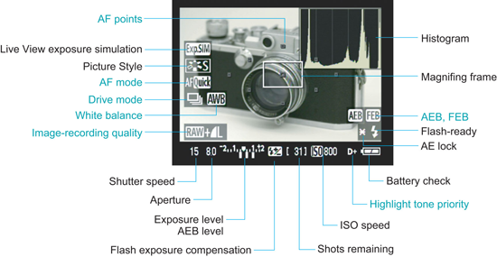 50D Live View image 1