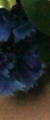 50D Imaging image 46