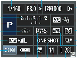 50D Overview image 8