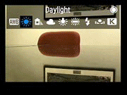 50D Live View image 5