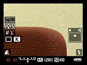 50D Live View image 12