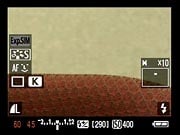 50D Live View image 13