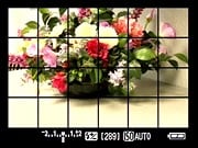 50D Live View image 4