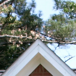 Despite evidence of edge enhancement, images from the E-510 have a hint of softness overall.
