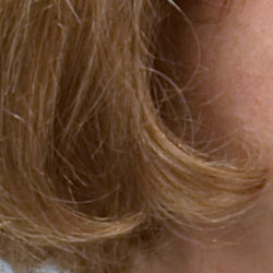Subtle detail: Hair Noise suppression tends to blur detail in areas of subtle contrast, as in