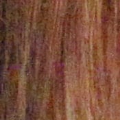 5D Mark II Imaging image 29