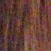 5D Mark II Imaging image 30