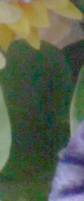 5D Mark II Imaging image 45