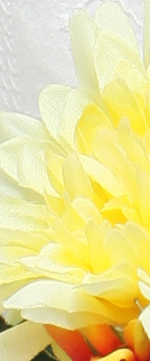 5D Mark II Imaging image 42