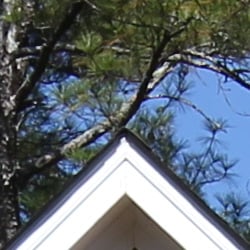 With default sharpening settings, the Canon 60D's JPEG files show some minor sharpening artifacts. With its