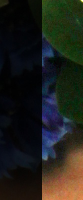 60D Imaging image 38