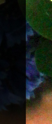 60D Imaging image 39
