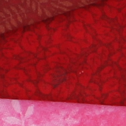 70D Image Quality image 6
