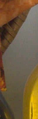 Sony Alpha NEX-7 RAW Files image 31