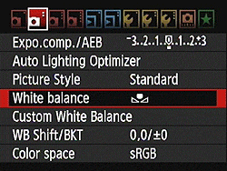60D Exposure image 11