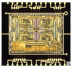 7D Optics image 9