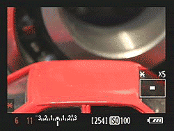 7D Live View image 12