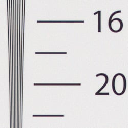 Strong detail to 1,800 lines horizontal dcraw processed ORF