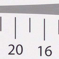 Strong detail to 1,700 lines vertical dcraw processed ORF