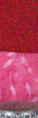 PEN E-P2 RAW Files image 26