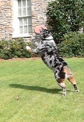 PEN E-P1 Video image 15