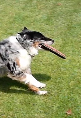 PEN E-P1 Video image 16
