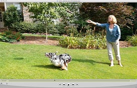 PEN E-P1 Video image 1