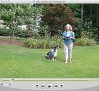 PEN E-P1 Video image 2