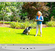 PEN E-P1 Video image 10