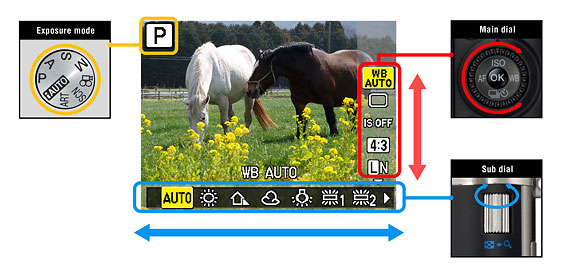 PEN E-P2 Overview image 4