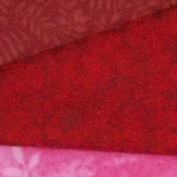 PEN E-PL1 Overview image 38