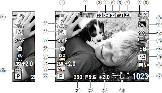 PEN E-PL1 Operation image 2