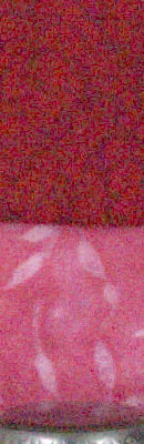 FinePix X100 RAW Files image 83