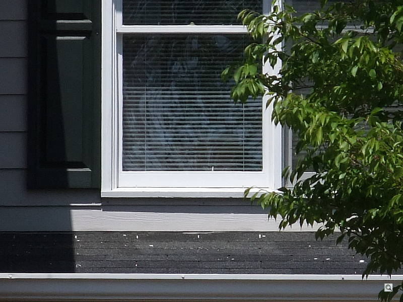 8.2x Digital Zoom