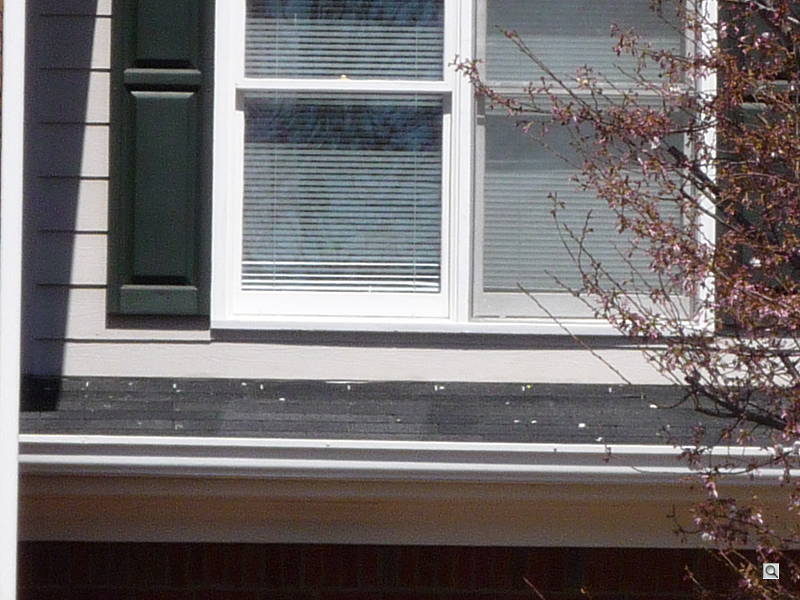 4x Digital Zoom