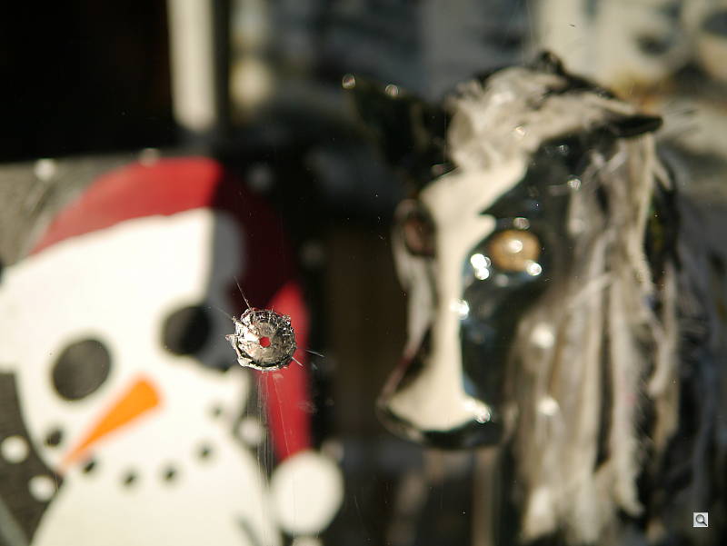 f/1.4, 1/4,000s, ISO 160
