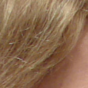 ISO 80